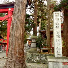 投稿日:2025年6月19日 写真