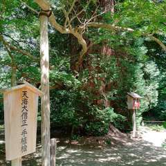 投稿日:2024年6月22日 写真