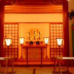 投稿日:2025年6月19日 写真