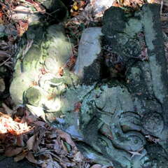 愛宕神社(投稿日:2025年7月30日) 写真