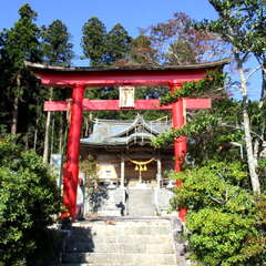 麓山神社(投稿日:2025年7月30日) 写真