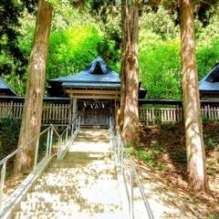 新宮熊野神社(投稿日:2025年7月30日) 写真