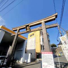 投稿日:2025年11月11日 写真