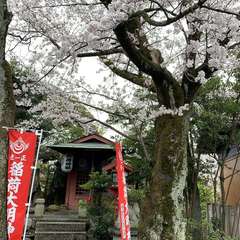 投稿日:2020年3月28日 写真