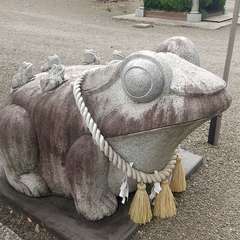 投稿日:2024年8月11日 写真