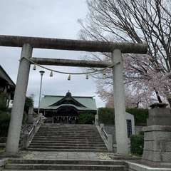 投稿日:2020年4月19日 写真