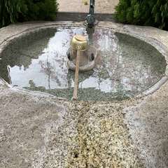 投稿日:2020年4月19日 写真