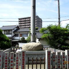 投稿日:2025年7月17日 写真