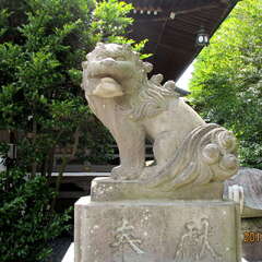 投稿日:2025年7月17日 写真