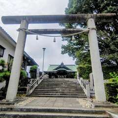 投稿日:2025年8月16日 写真