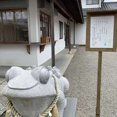 投稿日:2020年4月19日 写真