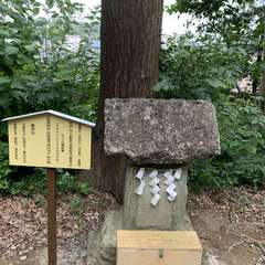 投稿日:2020年8月9日 写真