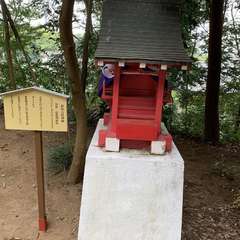 投稿日:2020年8月9日 写真