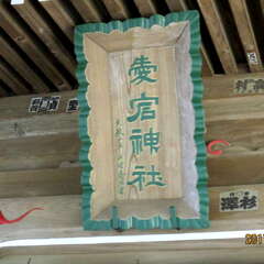 投稿日:2025年7月17日 写真