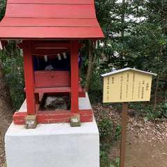 投稿日:2020年8月9日 写真