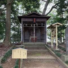 投稿日:2020年8月9日 写真