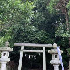 投稿日:2020年8月9日 写真