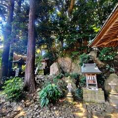 投稿日:2025年8月24日 写真