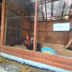 投稿日:2025年8月24日 写真