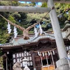 投稿日:2024年4月22日 写真