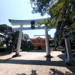 投稿日:2025年8月24日 写真