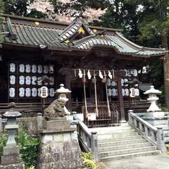 投稿日:2015年4月13日 写真