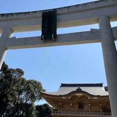 投稿日:2024年3月16日 写真