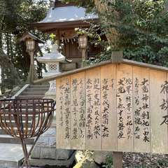 投稿日:2024年3月16日 写真