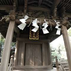 投稿日:2017年10月8日 写真