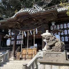 投稿日:2024年3月16日 写真