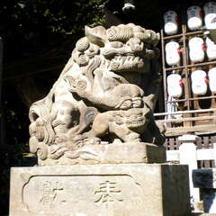 投稿日:2025年7月26日 写真