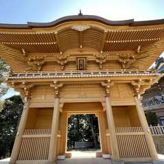 投稿日:2024年3月16日 写真