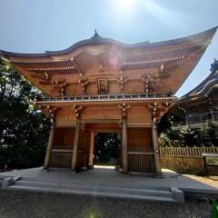 投稿日:2025年8月24日 写真