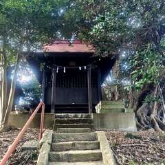 写真