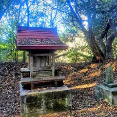金刀比羅神社(投稿日:2025年12月12日) 写真