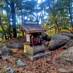 金刀比羅神社(投稿日:2025年12月17日) 写真