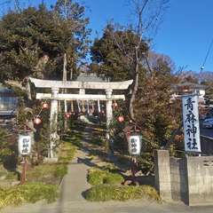 写真