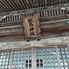 写真