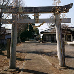 写真