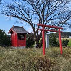 写真