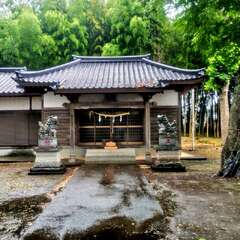 写真