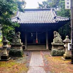 写真