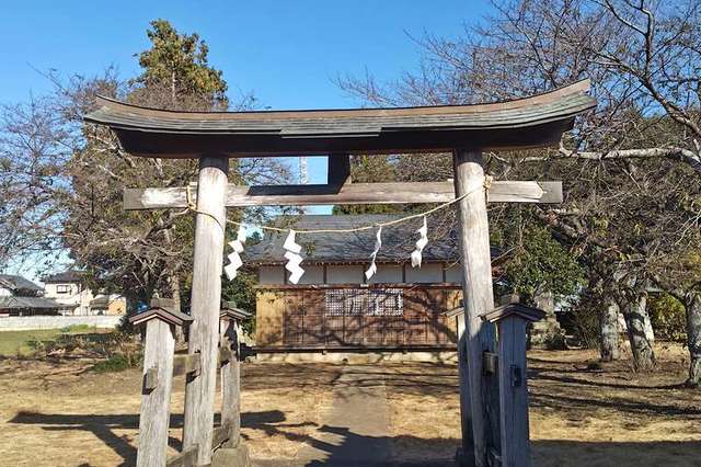 写真