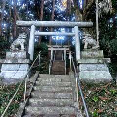 写真