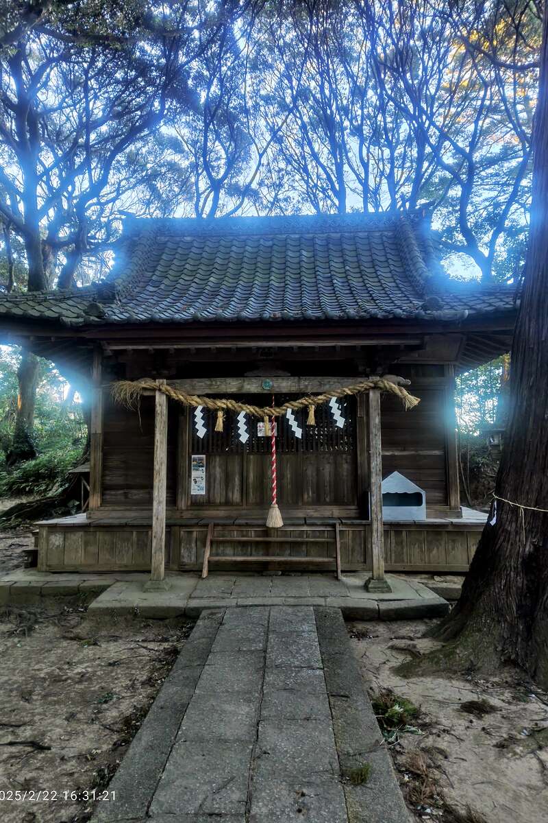 写真