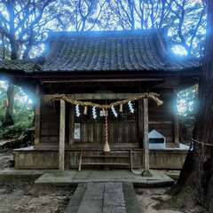 写真
