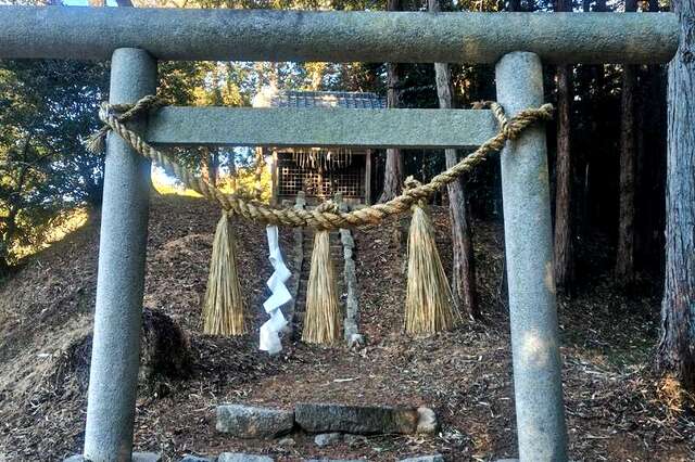 写真