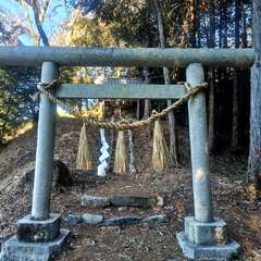 写真