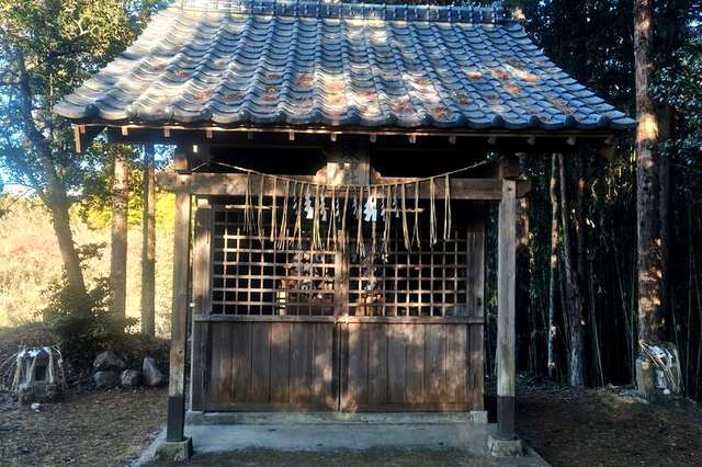 写真