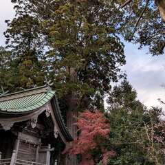羽梨山神社(投稿日:2025年12月6日) 写真